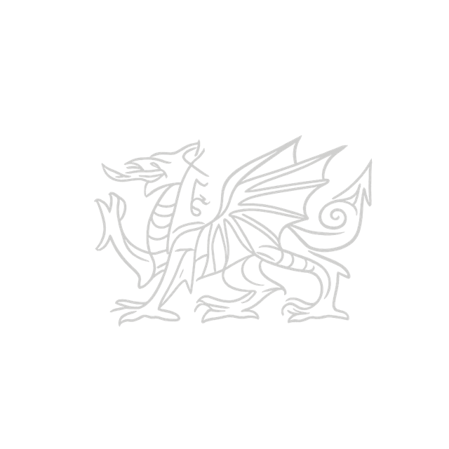 Welsh Dragon - Symbol of Wales