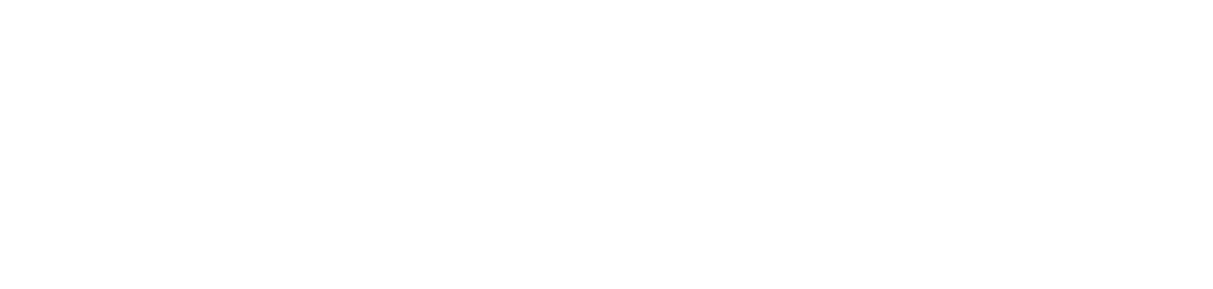 WebDev Wales
