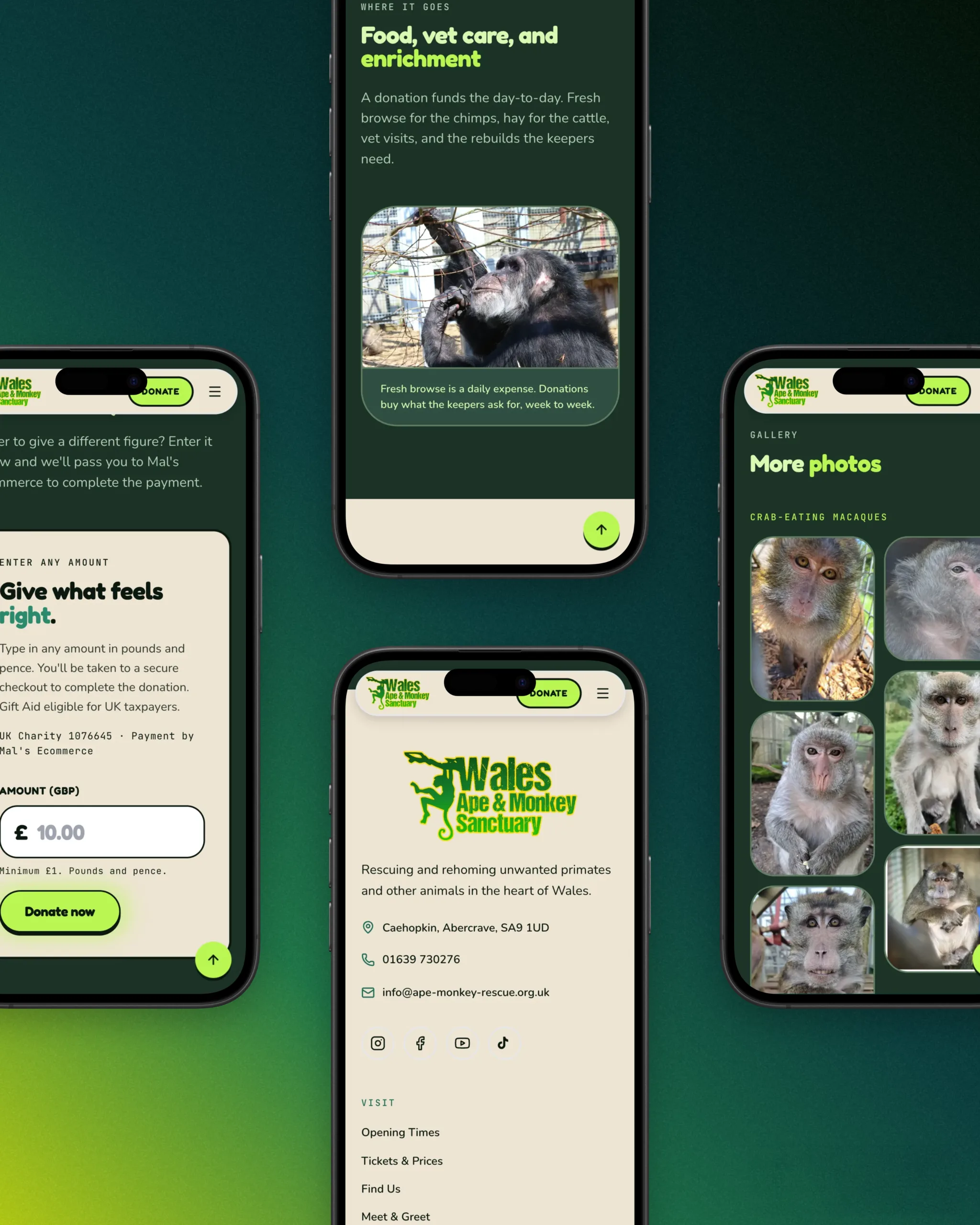 Custom-amount donate form, photo gallery and contact details