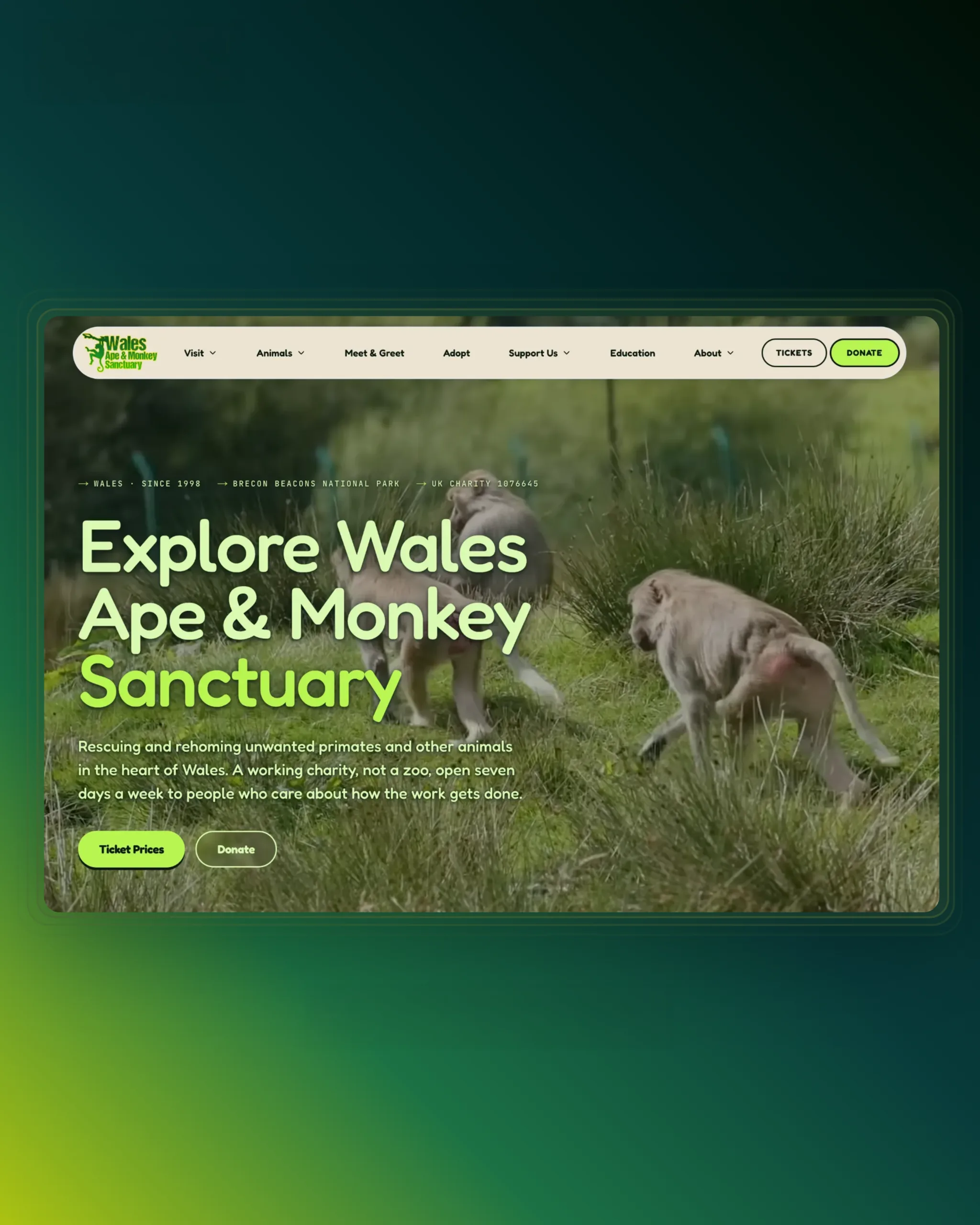 Wales Ape & Monkey Sanctuary website