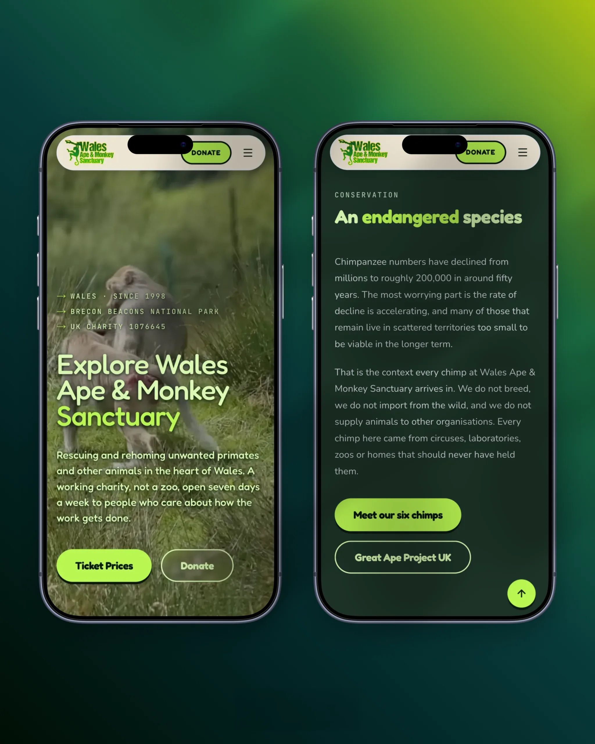 Mobile homepage hero and chimpanzee conservation page