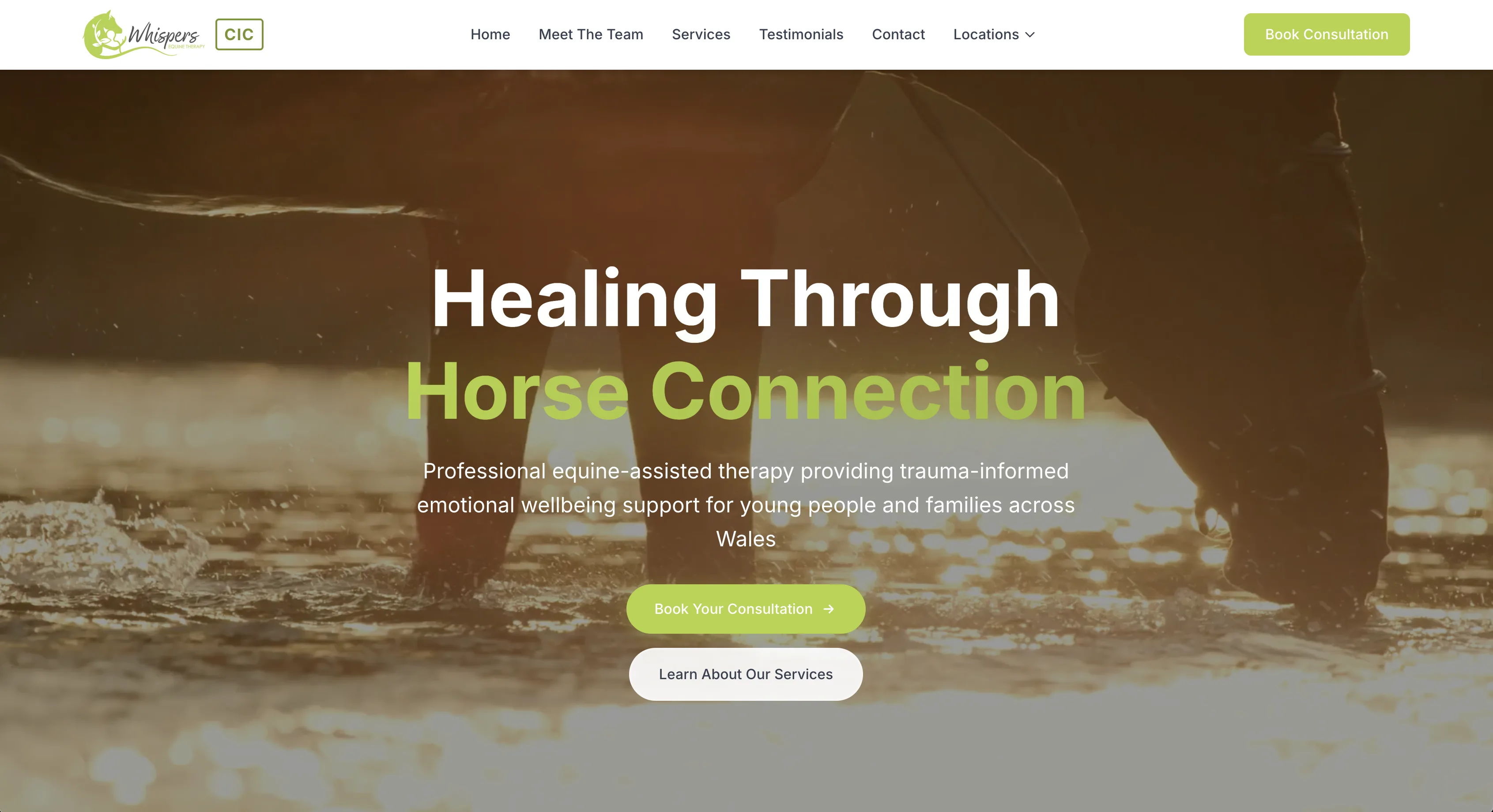 Whispers Equine Therapy website, home page